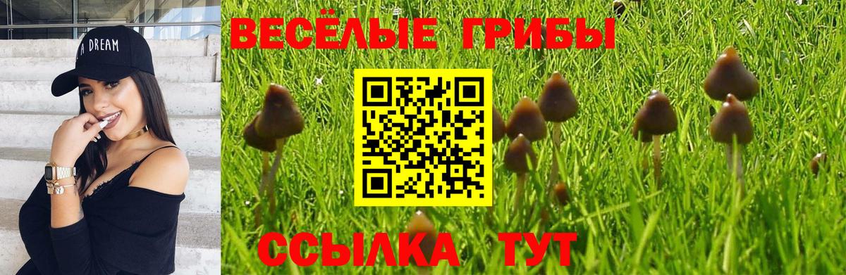 Псилоцибиновые грибы Magic Shrooms  Галлюциногенные грибы Psilocybe  Вход с VPN  где продают   Кашира 